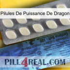 Dragon Power Pills 34